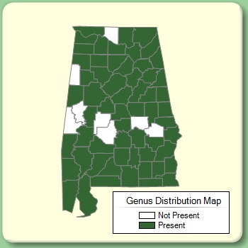 Genus Distribution Map