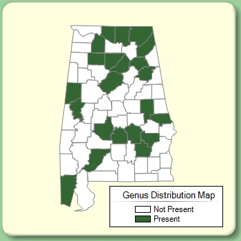 Genus Distribution Map