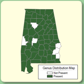 Genus Distribution Map