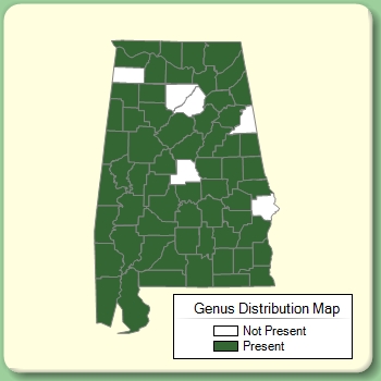 Genus Distribution Map