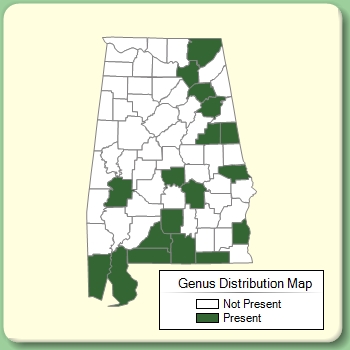 Genus Distribution Map