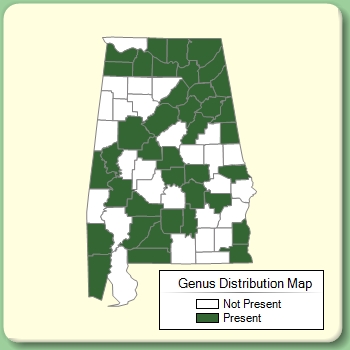 Genus Distribution Map