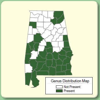 Genus Distribution Map