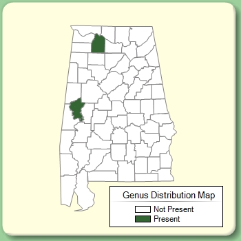 Genus Distribution Map