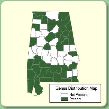 Genus Distribution Map