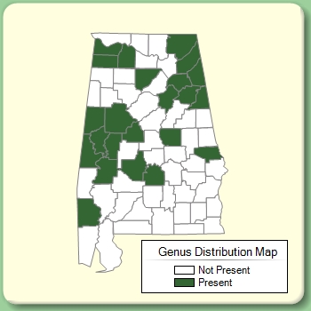 Genus Distribution Map