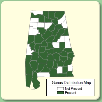 Genus Distribution Map