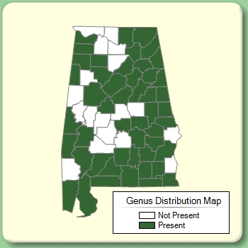 Genus Distribution Map