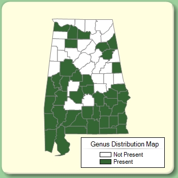 Genus Distribution Map