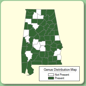 Genus Distribution Map