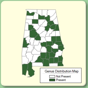 Genus Distribution Map