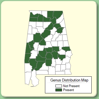 Genus Distribution Map