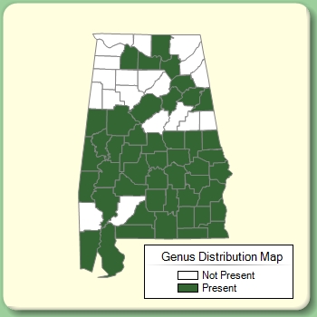 Genus Distribution Map