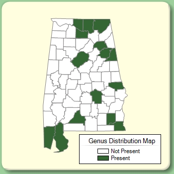 Genus Distribution Map