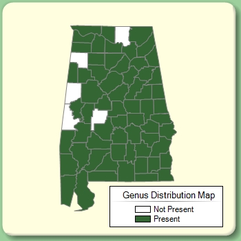 Genus Distribution Map