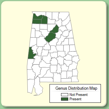 Genus Distribution Map