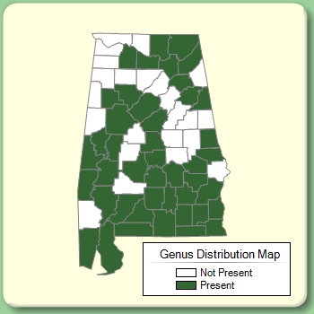 Genus Distribution Map