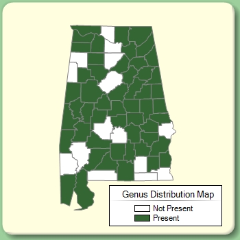 Genus Distribution Map