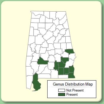 Genus Distribution Map