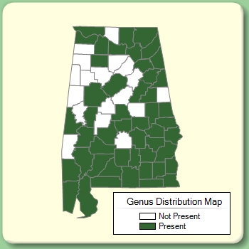 Genus Distribution Map