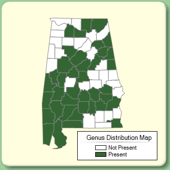 Genus Distribution Map