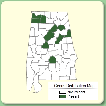 Genus Distribution Map