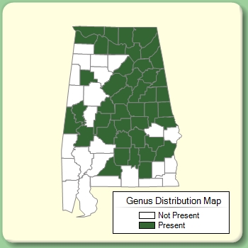 Genus Distribution Map