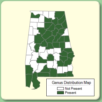 Genus Distribution Map