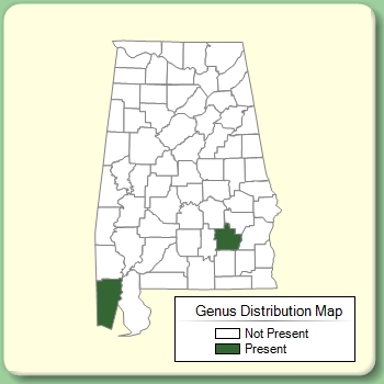 Genus Distribution Map