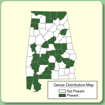 Genus Distribution Map