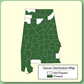 Genus Distribution Map