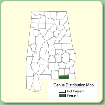 Genus Distribution Map