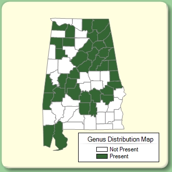 Genus Distribution Map