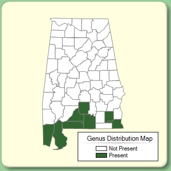 Genus Distribution Map