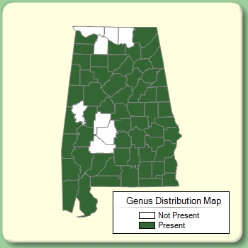 Genus Distribution Map