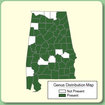 Genus Distribution Map