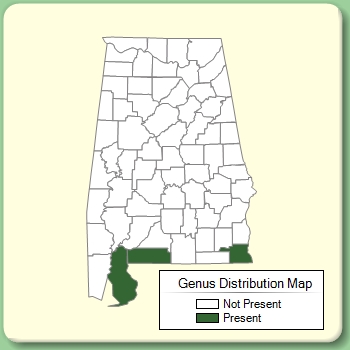 Genus Distribution Map