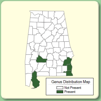 Genus Distribution Map