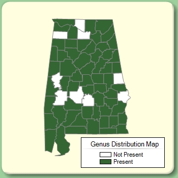 Genus Distribution Map