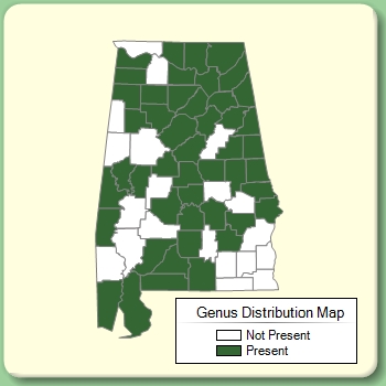 Genus Distribution Map