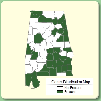 Genus Distribution Map