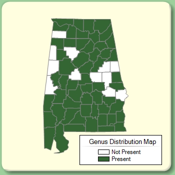 Genus Distribution Map