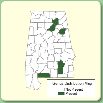 Genus Distribution Map