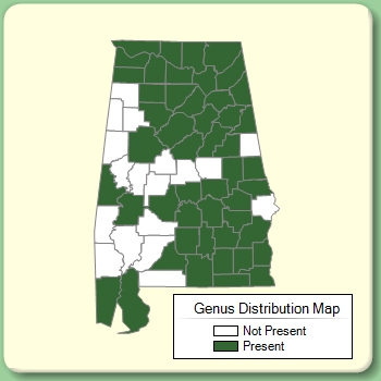 Genus Distribution Map