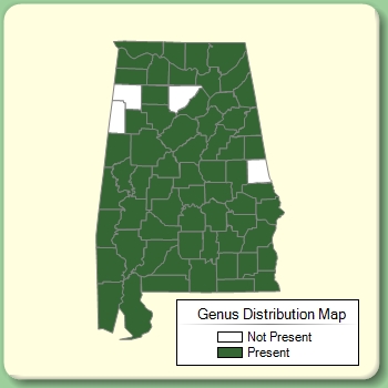 Genus Distribution Map