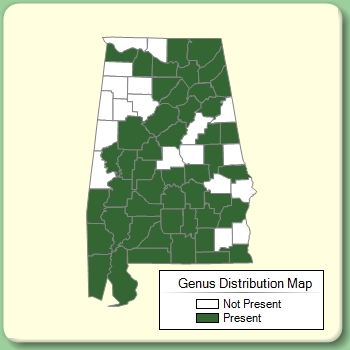 Genus Distribution Map