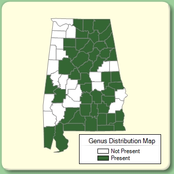 Genus Distribution Map