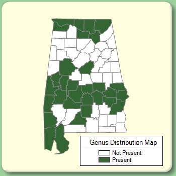 Genus Distribution Map