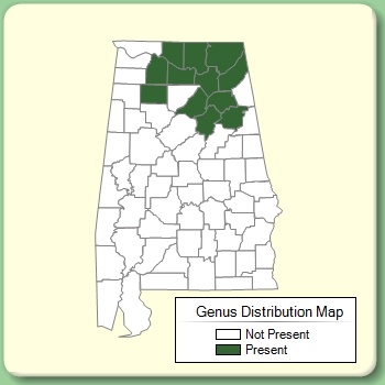 Genus Distribution Map