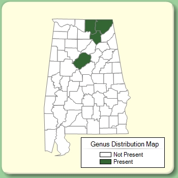 Genus Distribution Map